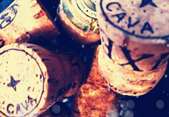 The Living Room Palma